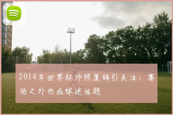 2014年世界杯帅照集锦引关注,赛场之外也成球迷话题