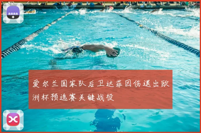 爱尔兰国家队后卫达菲因伤退出欧洲杯预选赛关键战役