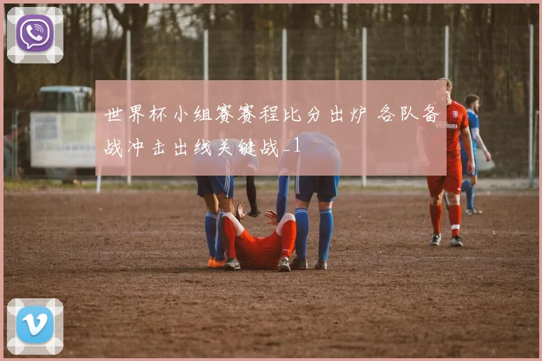 世界杯小组赛赛程比分出炉 各队备战冲击出线关键战_1
