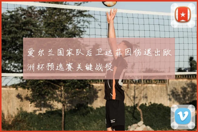 爱尔兰国家队后卫达菲因伤退出欧洲杯预选赛关键战役