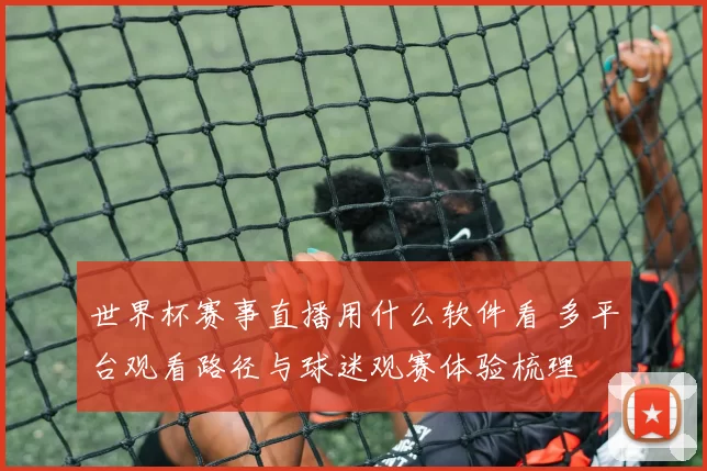 世界杯赛事直播用什么软件看 多平台观看路径与球迷观赛体验梳理