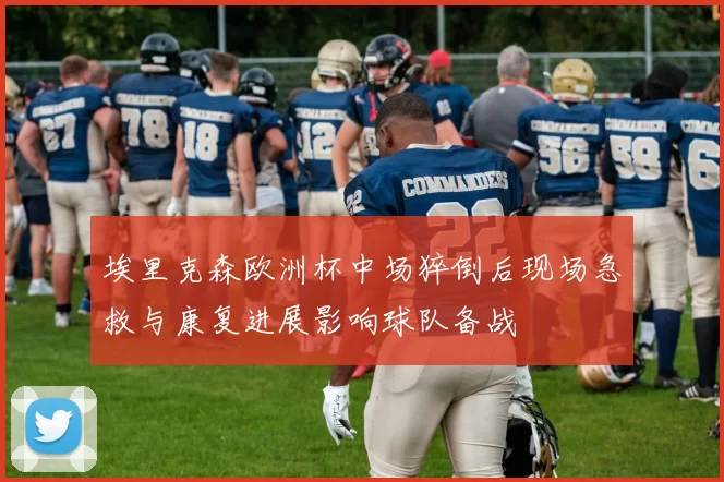 埃里克森欧洲杯中场猝倒后现场急救与康复进展影响球队备战