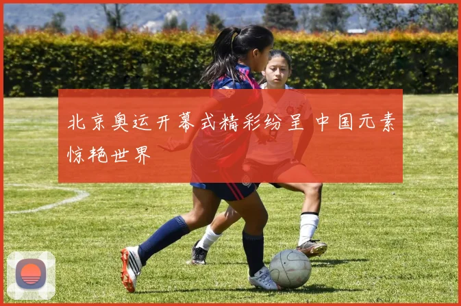 北京奥运开幕式精彩纷呈 中国元素惊艳世界